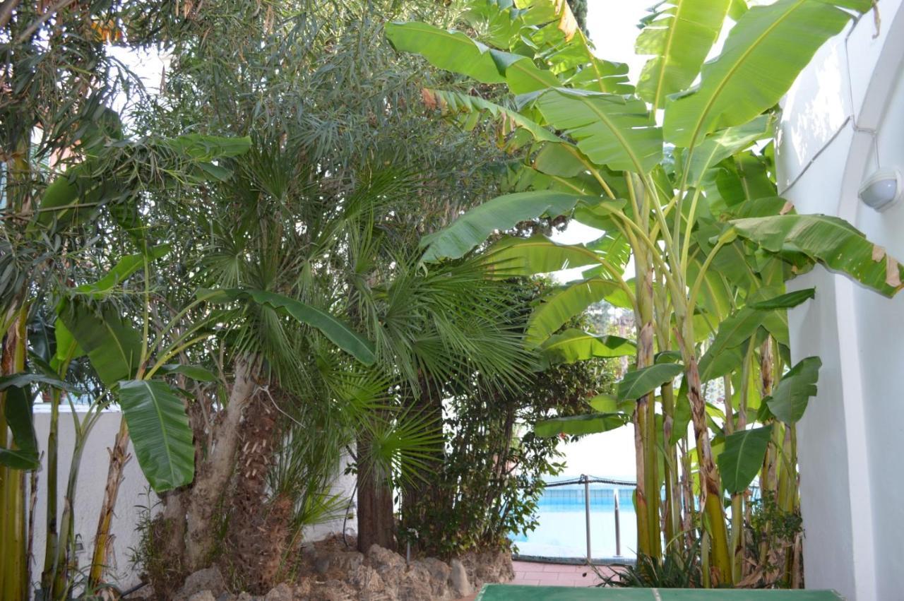 Il Kent Apartment Ischia Bagian luar foto